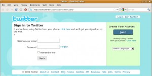Twitter Phishing - Kopierte Homepage