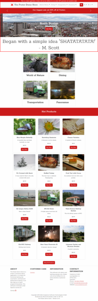 Screenshot of the Posters demo store homepage with a red area highlighted as the portion that was visible.